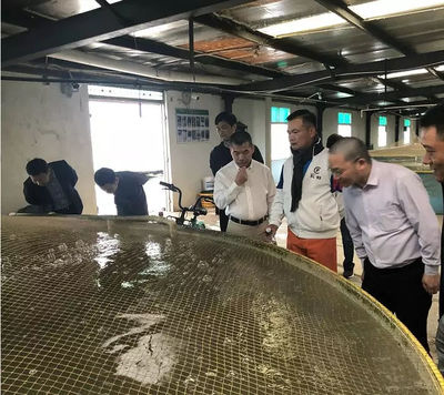 學(xué)習(xí)借鑒 | 72街餐飲集團組織團隊蒞臨仙泉湖養(yǎng)殖基地參觀指導(dǎo)!