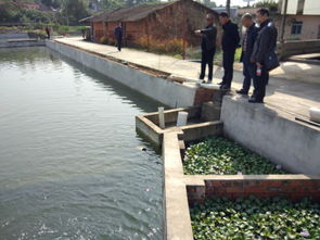 寧夏水產技術推廣站一行到四川成都龍泉參觀學循環(huán)水養(yǎng)殖模式