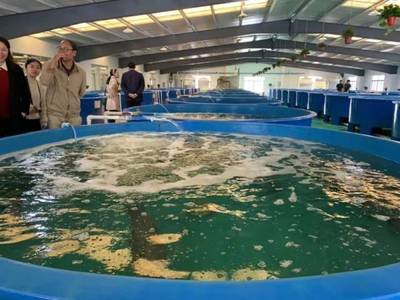 最高規(guī)格!廣東漁業(yè)種業(yè)大閱兵來了,誰是十大名優(yōu)品種?