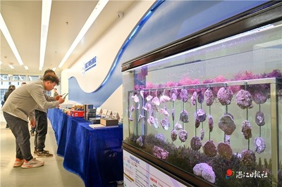 湛江蠔產業(yè)技術研究院揭牌成立