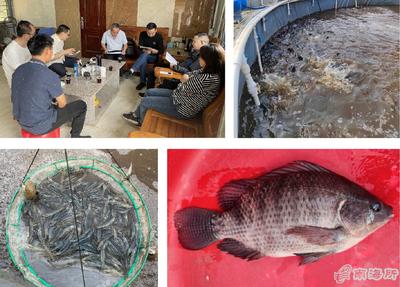 南海所&ldquo;高密度對蝦+海水羅非魚異位串聯(lián)的生物絮團零換水養(yǎng)殖技術&rdquo;試驗示范通過測產驗收