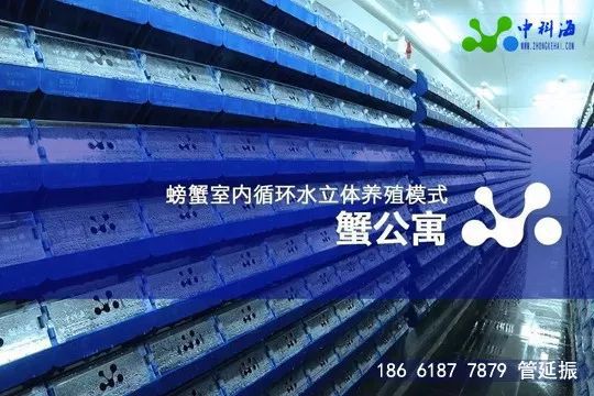 4月，這些先進的養殖設備和技術將集體亮相廈門 | ‘金磚’水產盛會邀請函